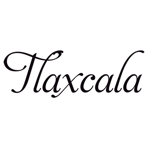 tlaxcala paginas rapidas sitios web cancun